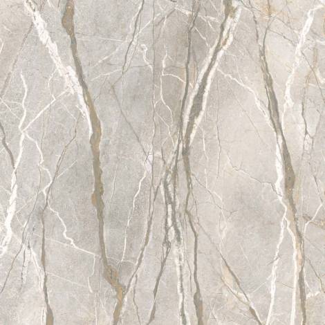 Silver Roots